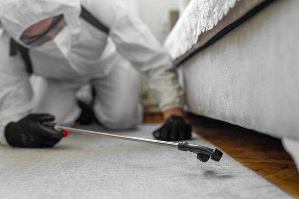 Professional Termite Control technician working in Erwin, NC