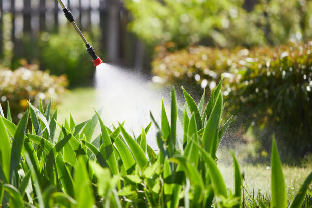 24/7 Emergency Termite Control experts in Erwin, NC