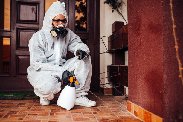 Reliable Termite Control contractor in Erwin, NC by Nex Pest Control