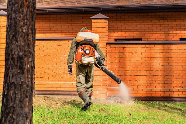Top rated local Termite Control specialists in Erwin, NC